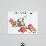 Collina Del 아파트 *